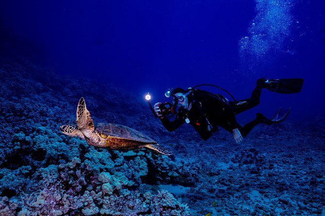 2 Tank Lanai Cathedral Scuba Dive Via Boat for Certified Divers - Practical Details and Considerations
