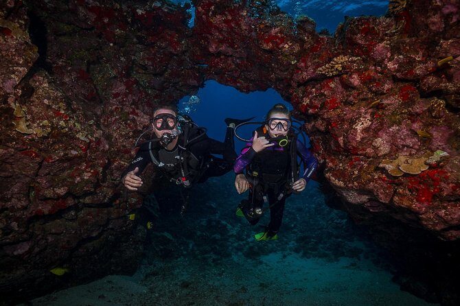 2 Tank Lanai Cathedral Scuba Dive Via Boat for Certified Divers - The Sum Up
