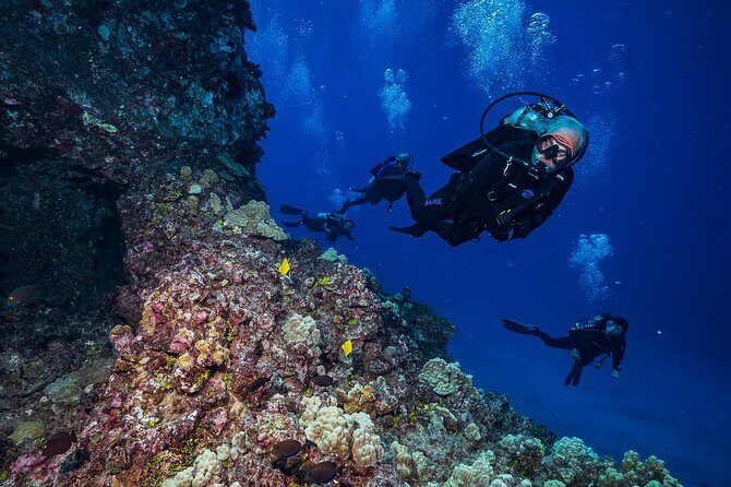 2 Tank Lanai Cathedral Scuba Dive Via Boat for Certified Divers - FAQ