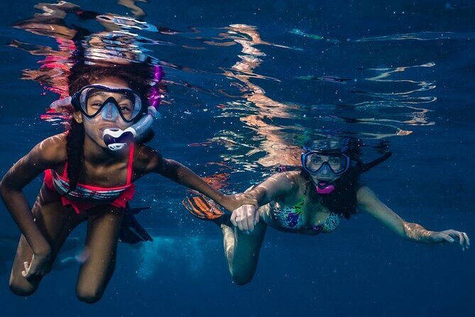 2-Tank Maui Turtle Scuba Dive or Snorkel Boat Tour - Exploring Maui’s Underwater Realm: What You Can Expect