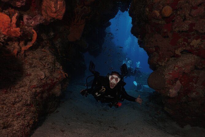 2 Tank Morning Dive: Scuba Diving in Cozumel - What Could Be Better?