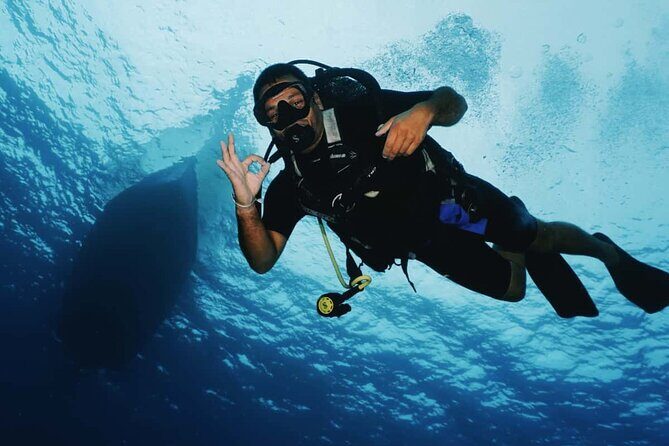 2 Tank Morning Dive: Scuba Diving in Cozumel - Price and Value Analysis