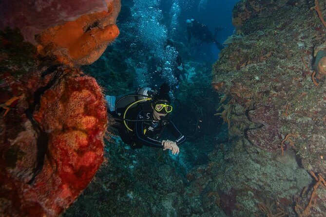 2 Tank Morning Dive: Scuba Diving in Cozumel - Frequently Asked Questions