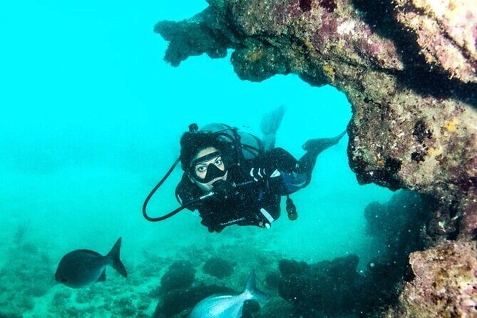 2-Tank Scuba Boat Trip in World-Class Sites @ Copamarina - An In-Depth Look at the Experience