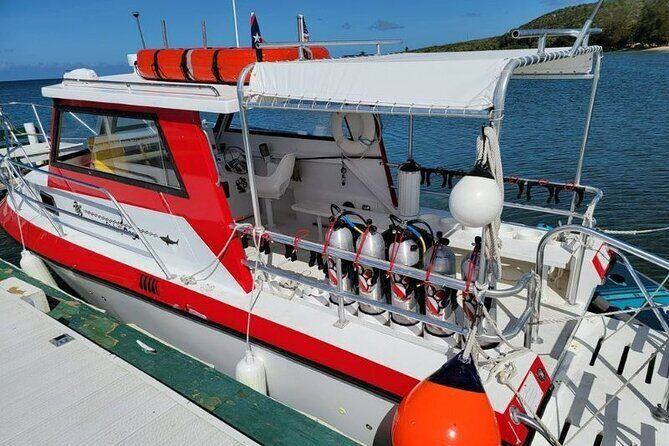 2-Tank Scuba Boat Trip in World-Class Sites @ Copamarina - Who Should Consider This Tour?