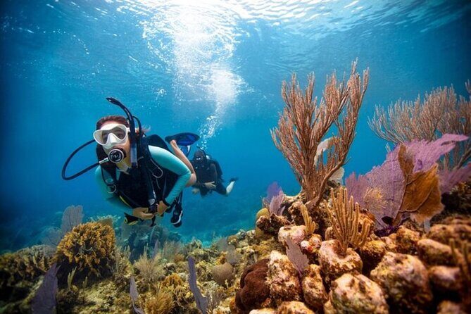 2-Tank Scuba Boat Trip in World-Class Sites @ Copamarina - FAQ