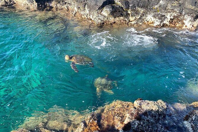 2 Tank Shore Dive at Sea Turtle Cove - Who Will Love This Tour?
