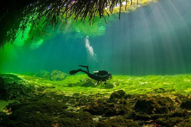 2 tanks Cenote Diving Adventure in Tulum for Certified Divers - The Experience and Reviews: Why Travelers Rave About It
