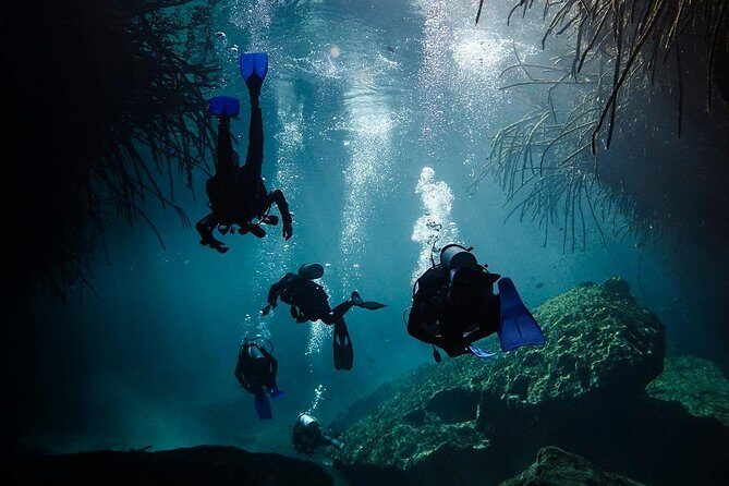 2 tanks Cenote Diving Adventure in Tulum for Certified Divers - Transport, Timing, and Group Dynamics