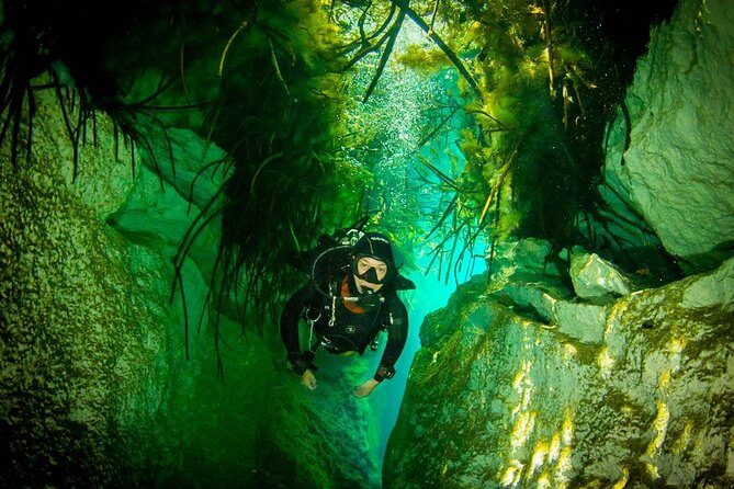 2 tanks Cenote Diving Adventure in Tulum for Certified Divers - Why This Tour Offers Great Value