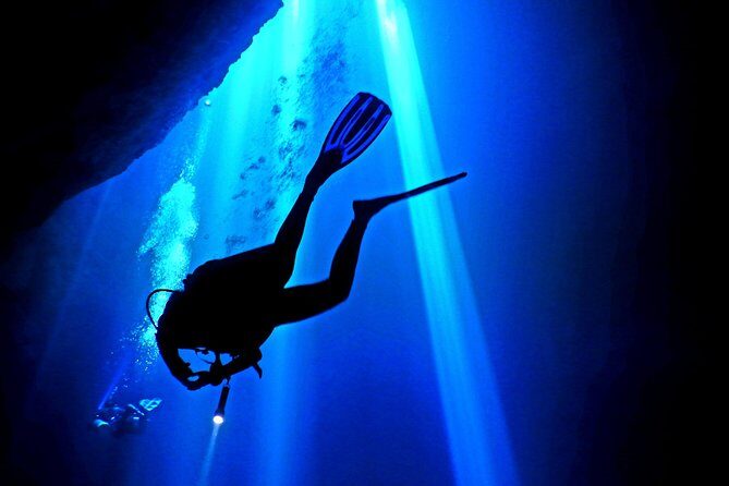 2 tanks Cenote Diving Adventure in Tulum for Certified Divers - Who Should Consider This Tour?
