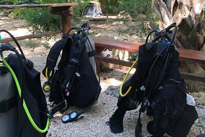 2 tanks Cenote Diving Adventure in Tulum for Certified Divers - Final Thoughts: Is It Worth It?