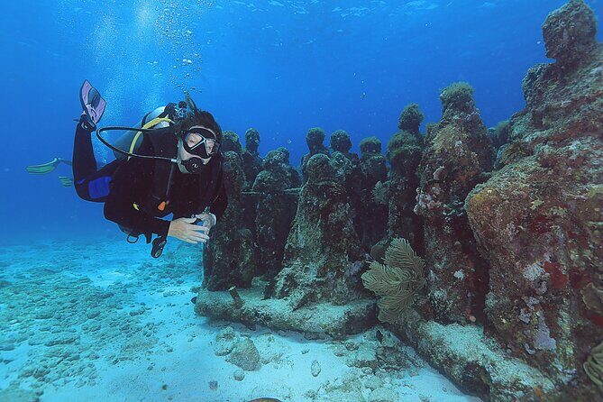 2 Tanks Dives Cancun Underwater Museum for Certified Divers - Practical Tips for a Smooth Experience