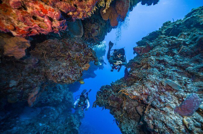 2 Tanks dives for Certified Divers in Cozumel - Why This Tour Is a Great Fit