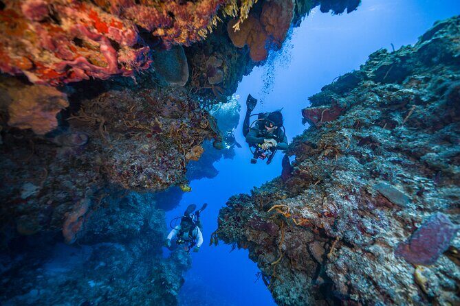 2 Tanks dives for Certified Divers in Cozumel - The Sum Up