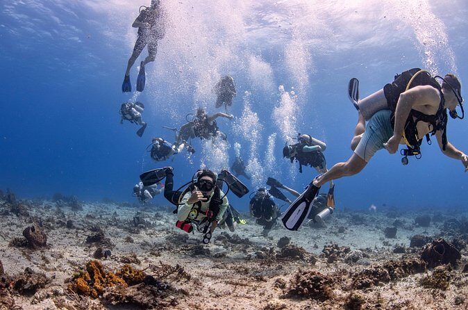 2 Tanks dives for Certified Divers in Cozumel - FAQ