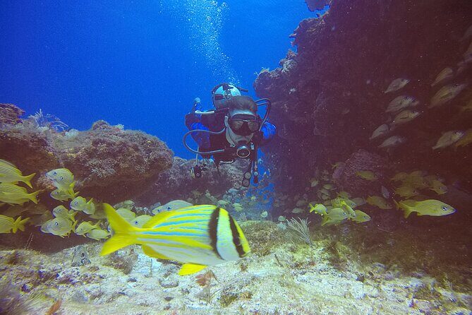 2 Tanks Scuba Diving in Punta Cancun Reefs for Certified Divers - The Full Experience: What You Can Expect