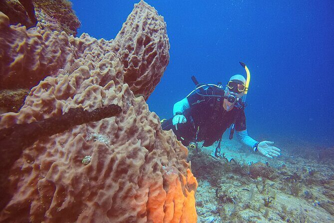 2 Tanks Scuba Diving in Punta Cancun Reefs for Certified Divers - Frequently Asked Questions