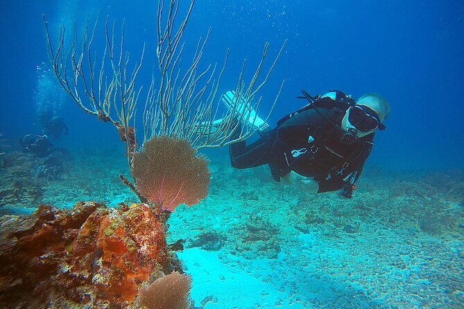 2 Tanks Scuba Diving Wreck and Reef in Cancun for Certified Divers - Who Should Consider This Tour?
