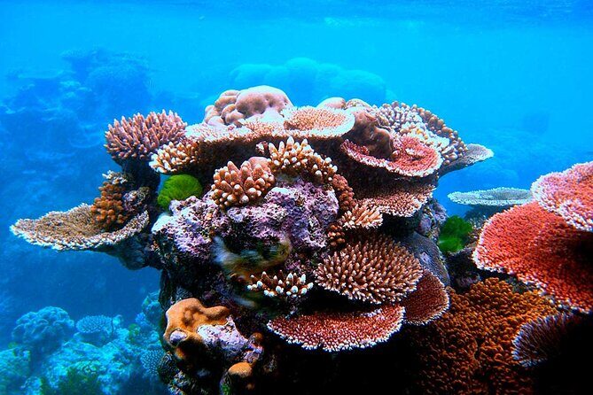 2 To 5 Hours Glass Bottom Boat Private Tour At Read Sea - Who Will Love This Tour?