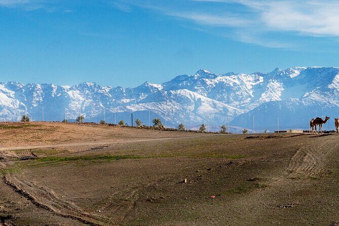 2 Two Days Mount Toubkal Trek from and back to Marrakesh - Frequently Asked Questions