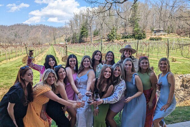 2 Vineyard Wine Tour of Western NC - Practical Details