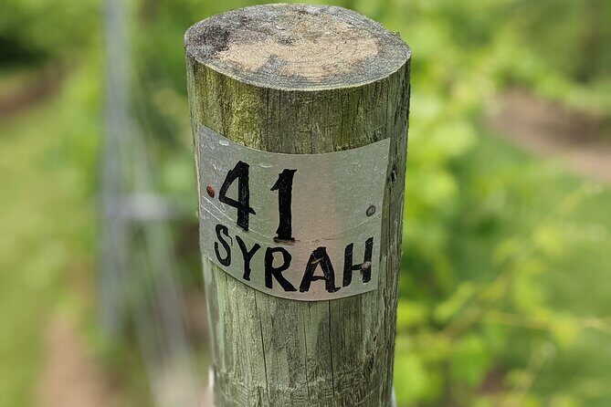 2 Vineyard Wine Tour of Western NC - FAQ