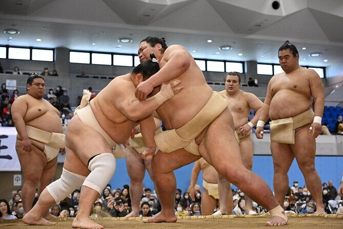 2025 1 Day Winter Sumo Official Provincial Tour at Odawara - Key Points