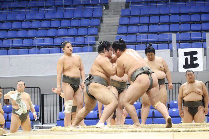 2025 1 Day Winter Sumo Official Provincial Tour at Odawara - Practical Details & Logistics