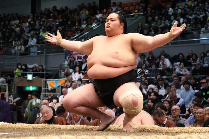 2025 1 Day Winter Sumo Official Provincial Tour at Odawara - Who Will Love This Tour?