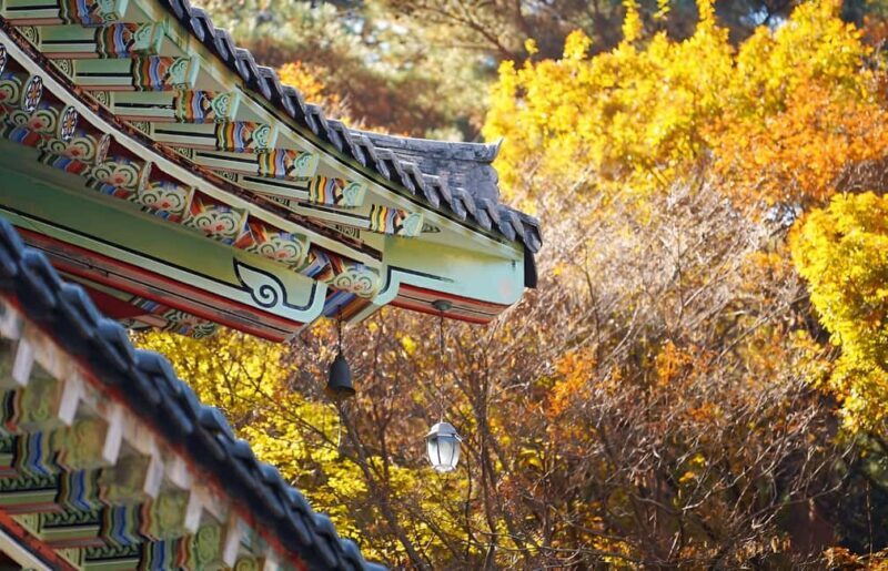 2025 Jeju Autumn Tour with Pink Muhly Festival Hotel pickup - Starting with Comfort: Hotel Pickup and Logistics