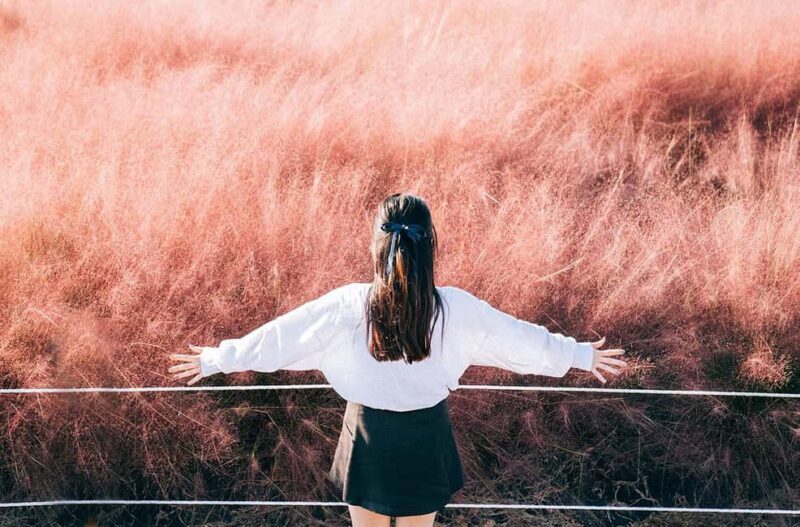 2025 Jeju Autumn Tour with Pink Muhly Festival Hotel pickup - Why the Tour Delivers Excellent Value