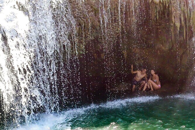 2025 Tarsier, Waterfalls & Chocolate Hills Tour - Who Will Love This Tour?