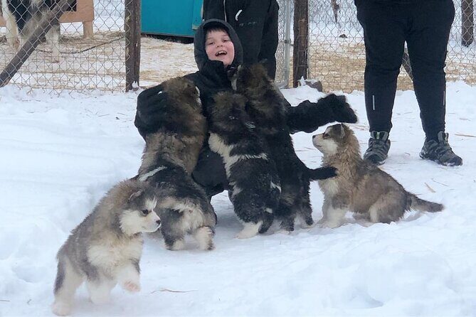 -20F Cold Rated Package: Parka, Snowpants, Boots & Gloves - Why This Experience Works for You