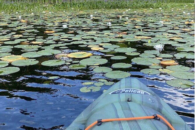 24-48 Hour Kayak Rental in Marmora, Ontario - Pricing and Value