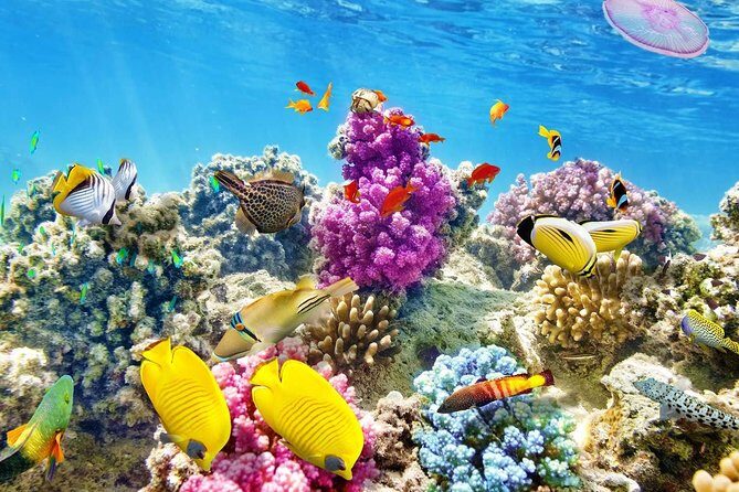 24 Hours Private Boat Snorkeling sea trip and Fishing With equipment - Hurghada - What Past Travelers Say