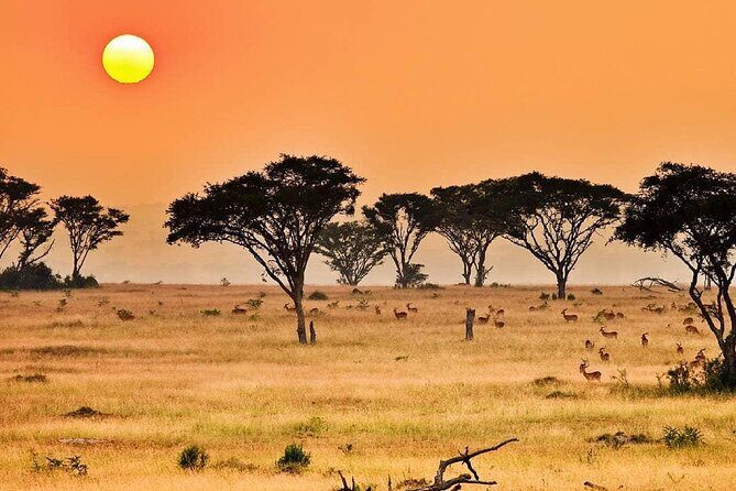 25 day uganda Rwanda kenya and Tanzania safari Zanzibar inclusive - A Deep Dive into the Itinerary