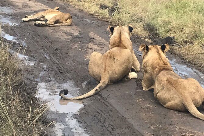 25 day uganda Rwanda kenya and Tanzania safari Zanzibar inclusive - FAQs