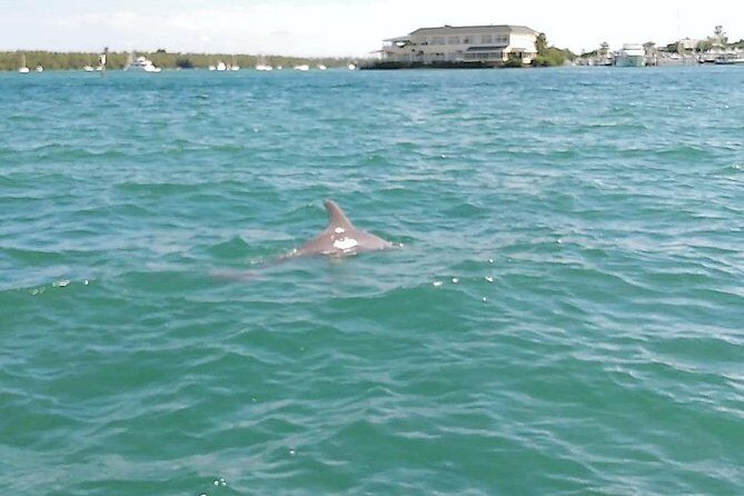 26 Ft Boat, Miami Bay Tour for 2 or 4 hours. 10 people - The Sum Up