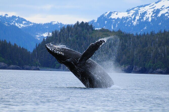 26 Glacier Cruise and Coach from Anchorage, AK - FAQ