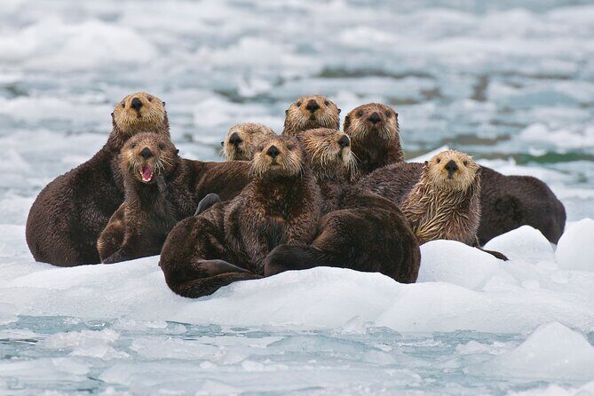26 Glacier Tour, Self-Drive from Anchorage, AK - Exploring the Itinerary in Detail
