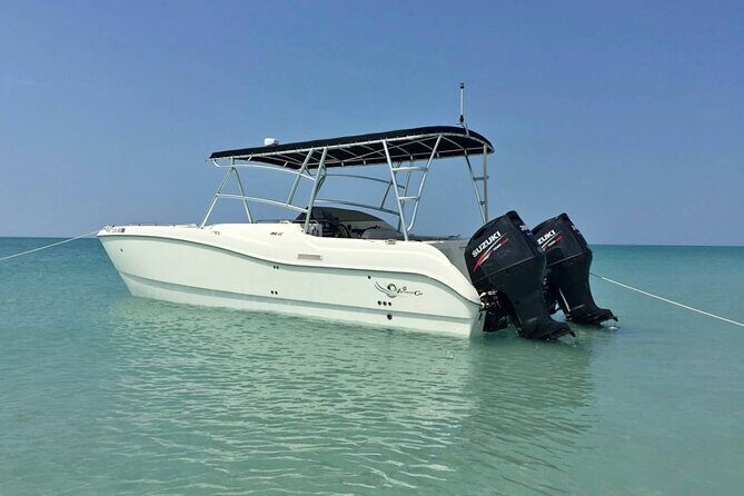 27ft Miami Catamaran for Groups and Parties - Who Should Consider This Experience?