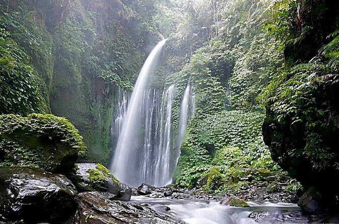 2D-1N Hiking Rinjani To Rim Senaru - Dewa Trekking - The Guide and Support: What Travelers Say