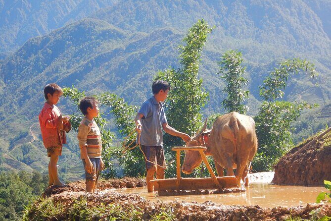 2D1N Buffalo trek by Hmong Sister House and Trekking - Key Points