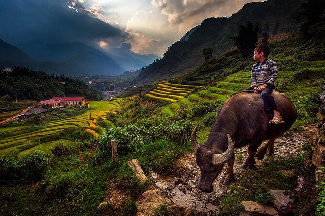 2D1N Buffalo trek by Hmong Sister House and Trekking - Transportation, Timing, and Practical Details