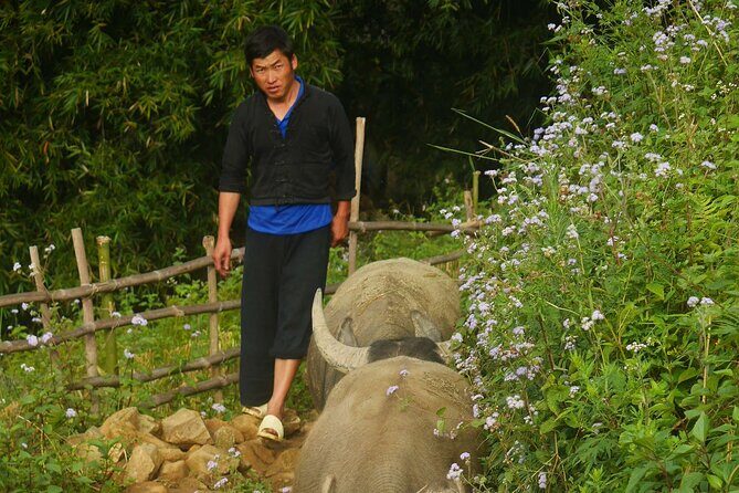 2D1N Buffalo trek by Hmong Sister House and Trekking - FAQ