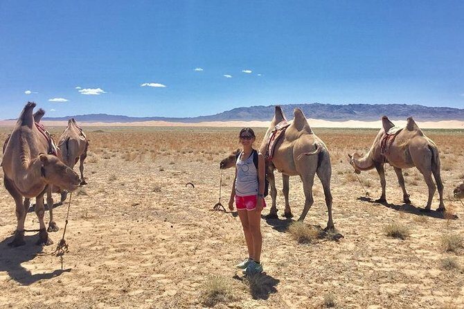 2D,1N Gobi desert and Old city Kharkhorum stay with Nomadic family - An In-Depth Look at the Tour