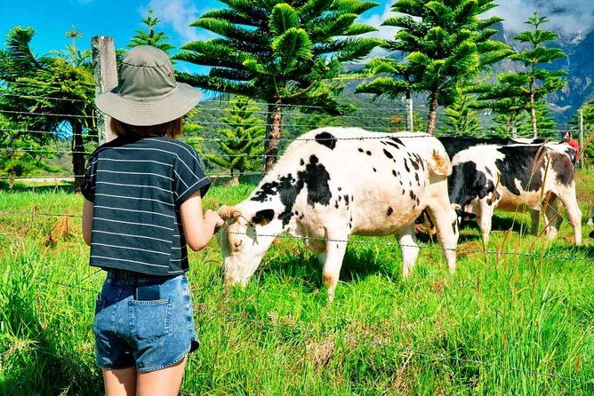 2d1n Kinabalu Park & Poring Canopy Walk & Desa Cow Farm Tour - Key Points