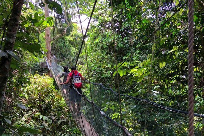 2d1n Kinabalu Park & Poring Canopy Walk & Desa Cow Farm Tour - Practical Tips for Future Travelers