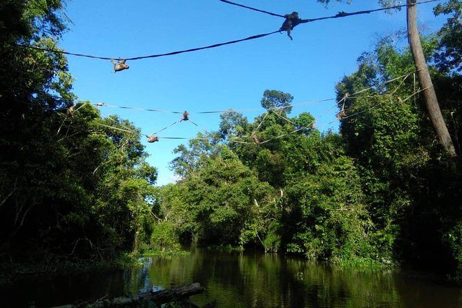 2D1N Sandakan Private Tour with Kinabatangan River Cruise - Key Points